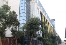 заводське шоу